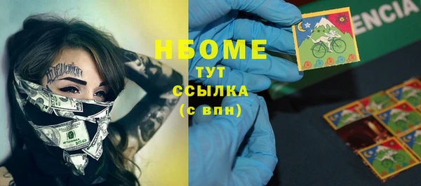 дмт Бородино