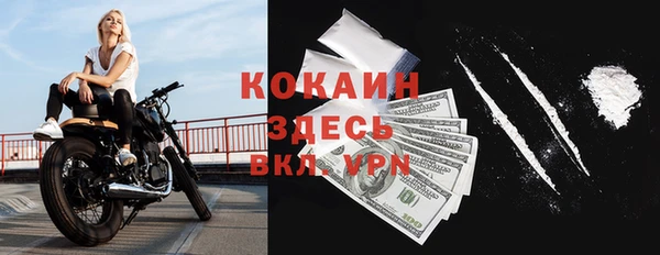 дмт Бородино