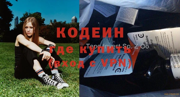 дмт Бородино