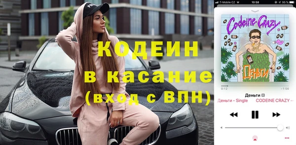 дмт Бородино