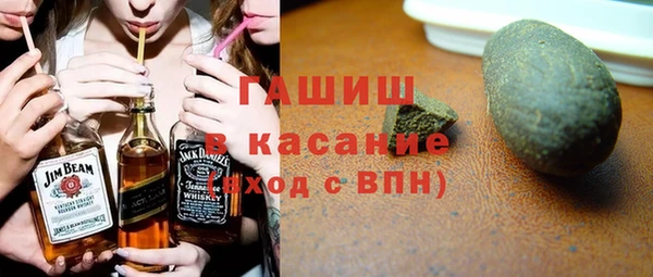 дмт Бородино