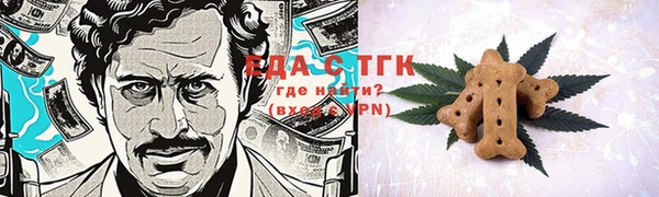 дмт Бородино
