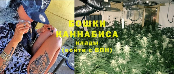 дмт Бородино