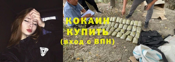 дмт Бородино