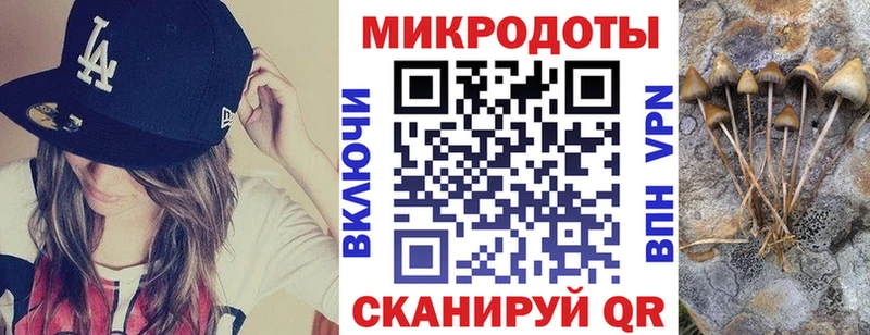 Купить где  Отрадное  Галлюциногенные грибы Psilocybe 